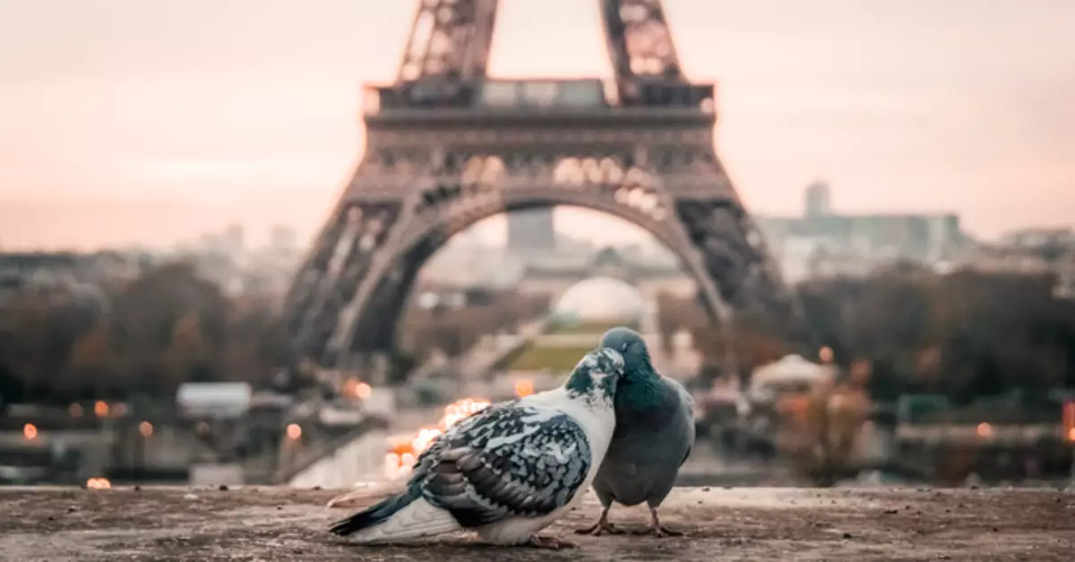 Gumising sa Paris: kung paano mabuhay ay hindi kung saan ito ay ipinanganak, at kung saan gusto ko