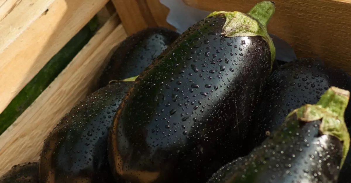 Stimmungsfarbe - blau: Aubergine kochen