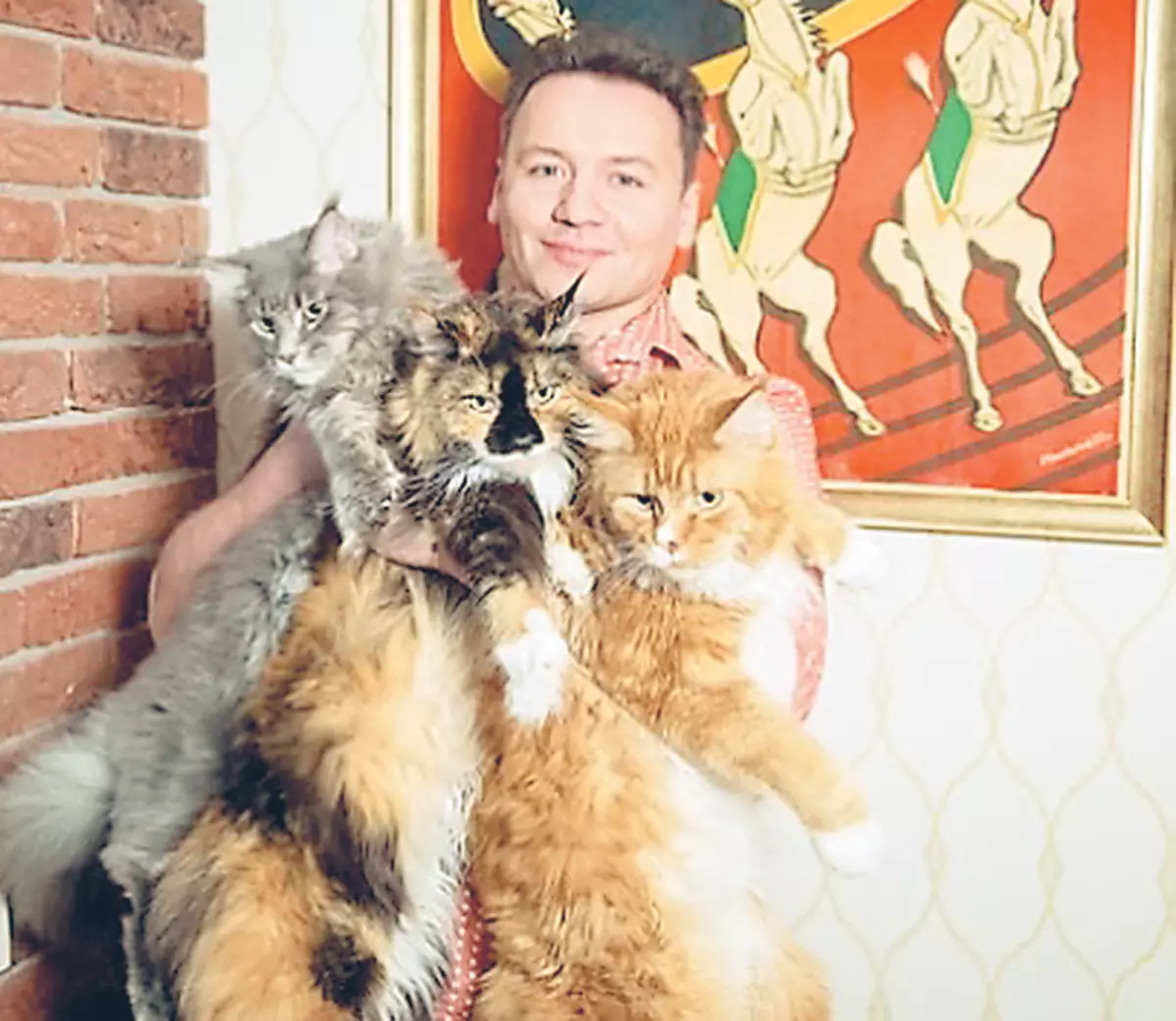 Alexander jednoducho miluje mačky a drží tri Maine Kunov ako domáce zvieratá: Elizeha, Walter a Alice