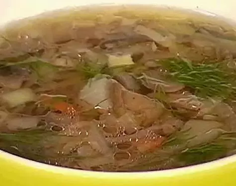 Shalyapinsky soup. .