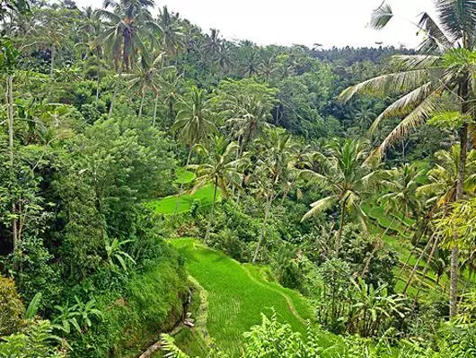 Notes de Maman thaïlandaise: "Sur Bali, il n'y a pas seulement des sorciers, mais aussi des fantômes"