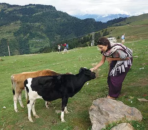 Pelakon Olga Dibseva menjadi kawan di India bukan sahaja dengan penduduk setempat, tetapi juga dengan anak lembu. Haiwan yang dianggap suci di India, komunikasi dengan tetamu dari Rusia tetap cukup berpuas hati. .
