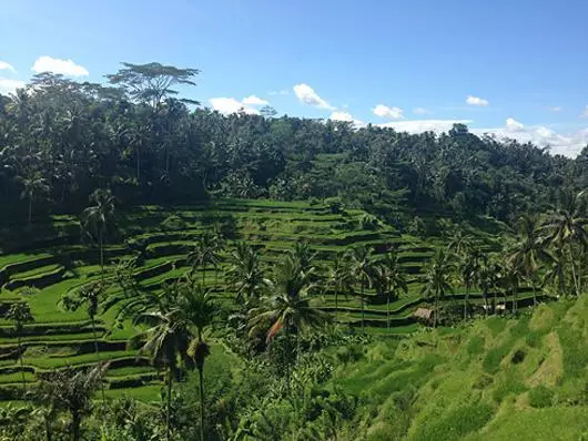 Notlar Tayland Annesi: "Bali'de Sokaklarda yürümekten korktuk"