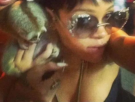 Χάρη σε αυτή τη φωτογραφία, η Rihanna πιάστηκε από πρωτεύοντα Laurie. Φωτογραφία: Instagram.com.