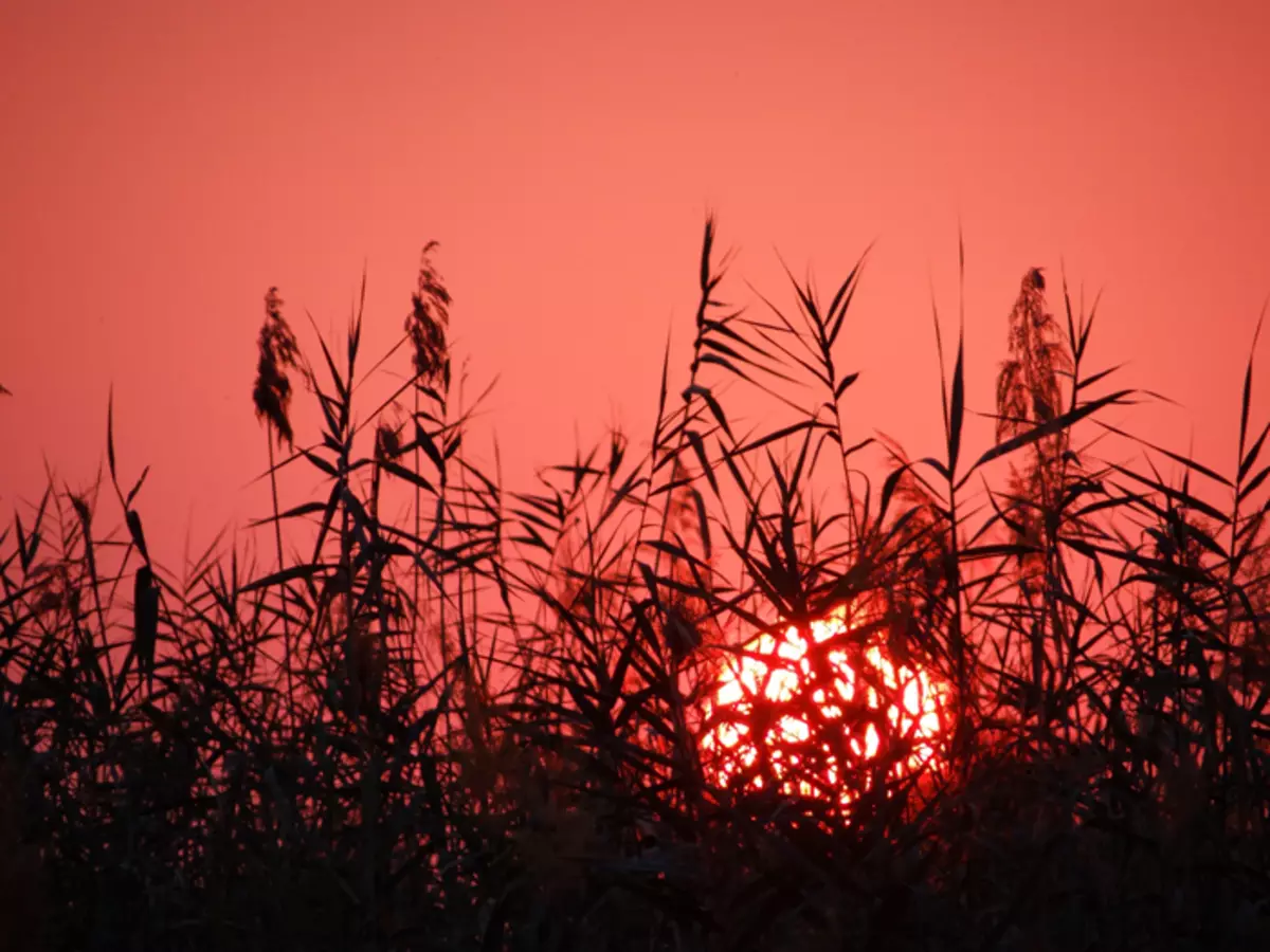 "Amb l'inici de la nit, la frescor serà devastada a la Terra i la posta de sol sense precedents»